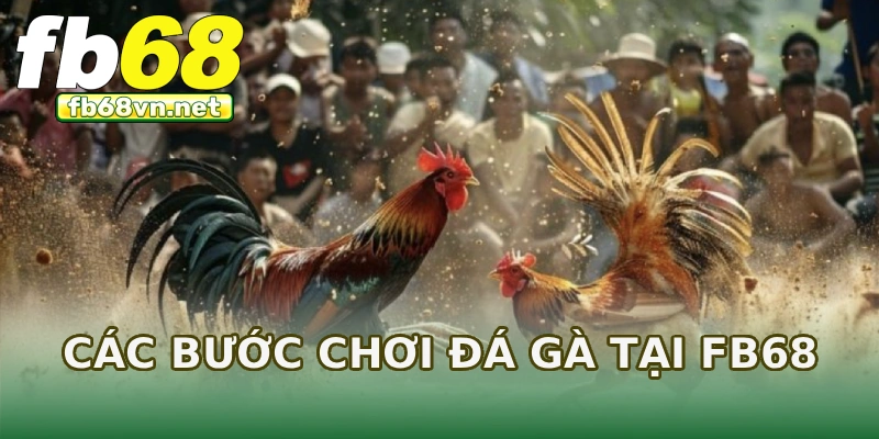 Các bước chơi đá gà tại FB68