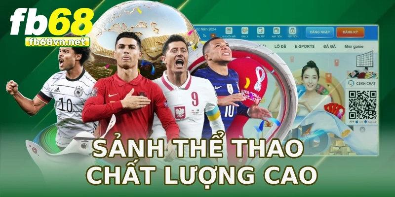 Sảnh thể thao chất lượng cao