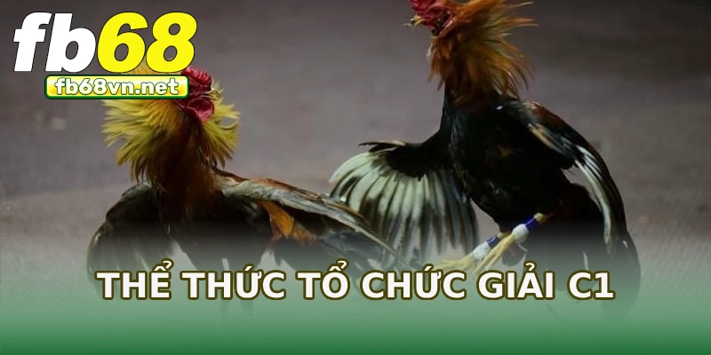 Thể thức tổ chức giải C1