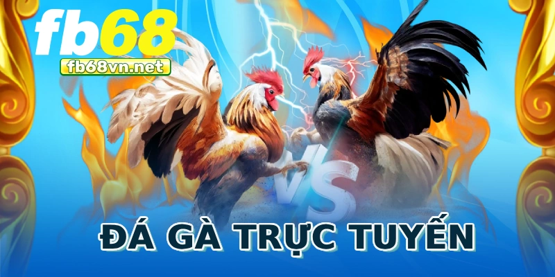 Đá gà trực tuyến